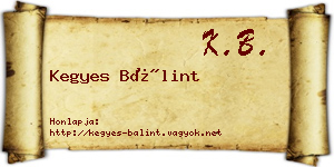 Kegyes Bálint névjegykártya